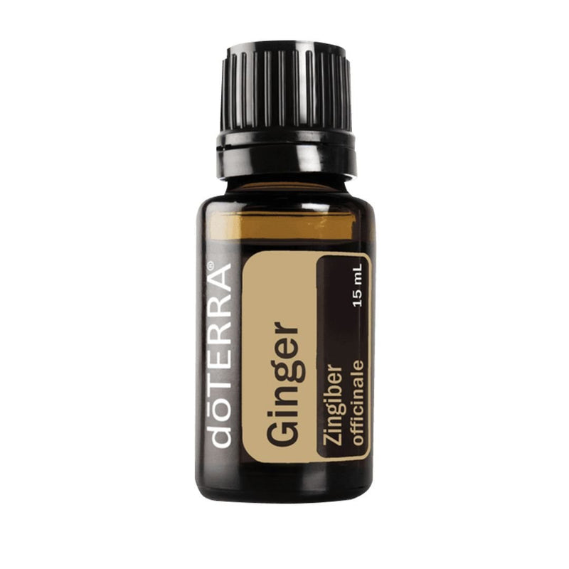 Ginger Essential Oil by doTERRA (Zingiber officinale) - 15mL - DoTerra Essential Oils
